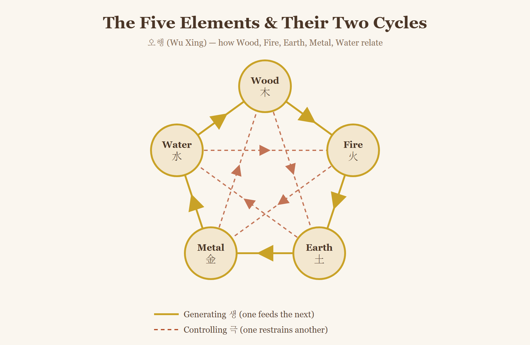The five elements arranged in a circle, showing the generating cycle (each feeds the next) and the controlling cycle (each restrains another)